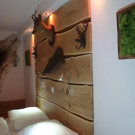 Charmante Rustikale Jaegersuite Mit El Kamin H2o Therme Oberhof (Thuringia)