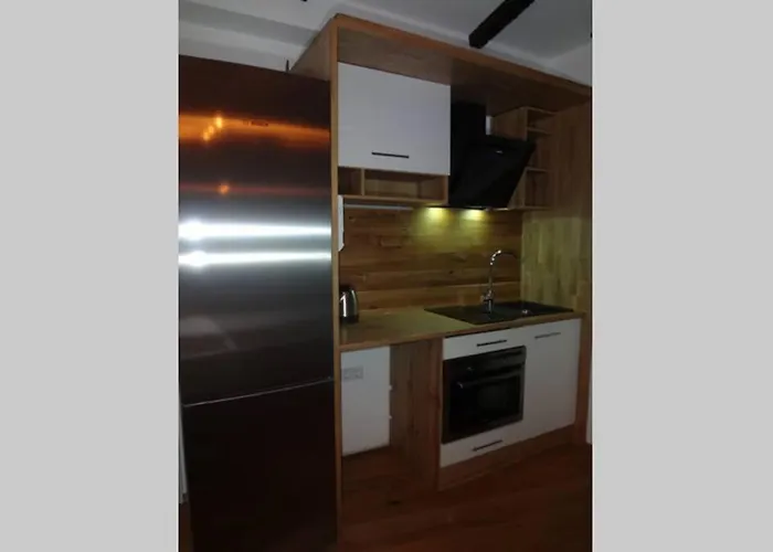 Charmante Rustikale Jaegersuite Mit El Kamin H2o Therme * Oberhof (Thuringia)