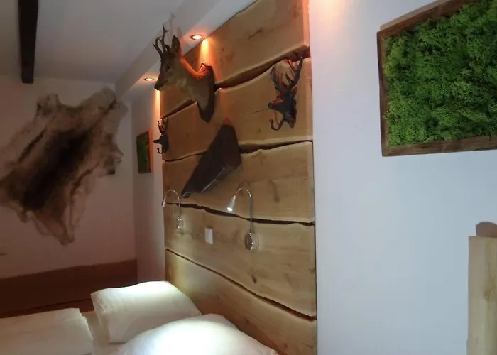 Charmante Rustikale Jaegersuite Mit El Kamin H2o Therme Oberhof (Thuringia)